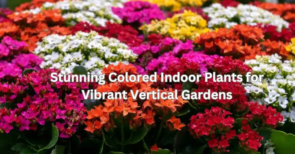 10 Stunning Colored Indoor Plants for a Vibrant Vertical Garden