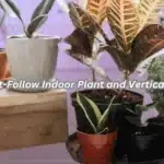 Top 10 Must-Follow Indoor Plant and Vertical Gardening