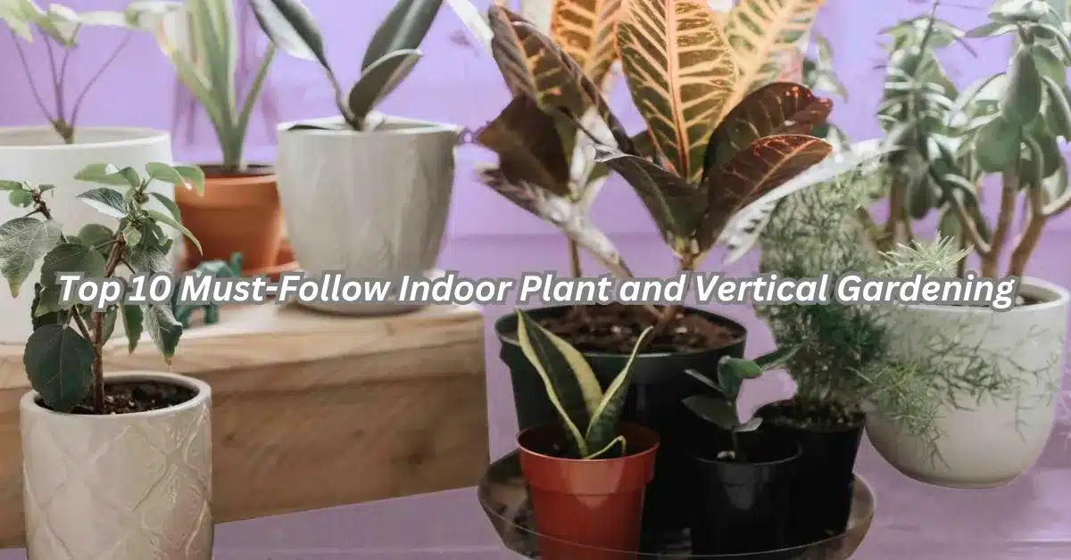 Top 10 Must-Follow Indoor Plant and Vertical Gardening