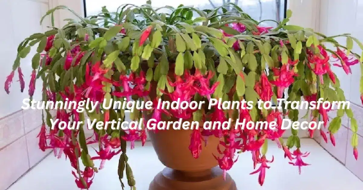 10 Stunningly Unique Indoor Plants to Transform Your Vertical Garden and Home Decor