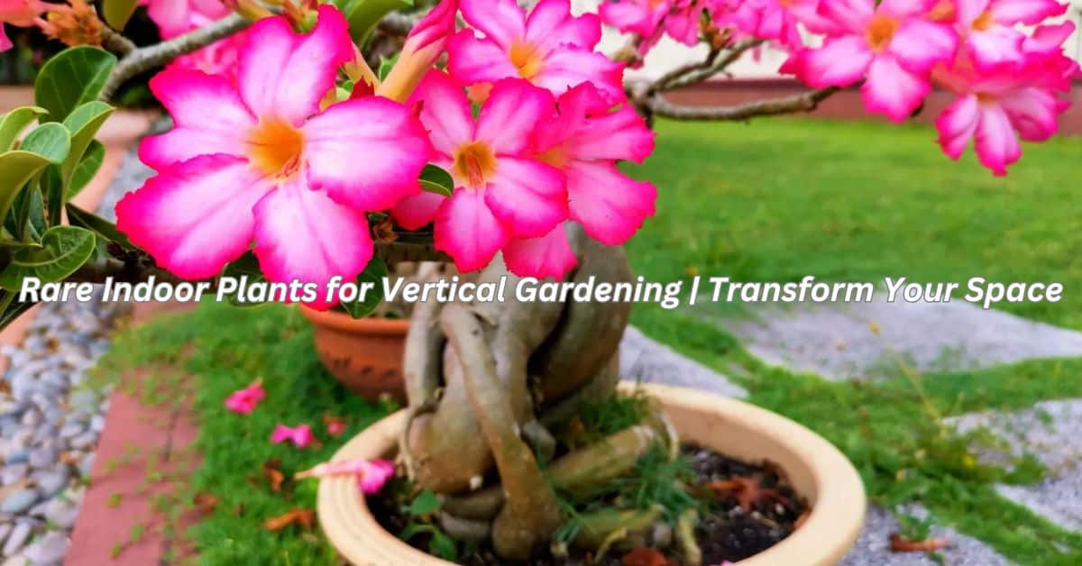 Rare Indoor Plants for Vertical Gardening | Transform Your Space