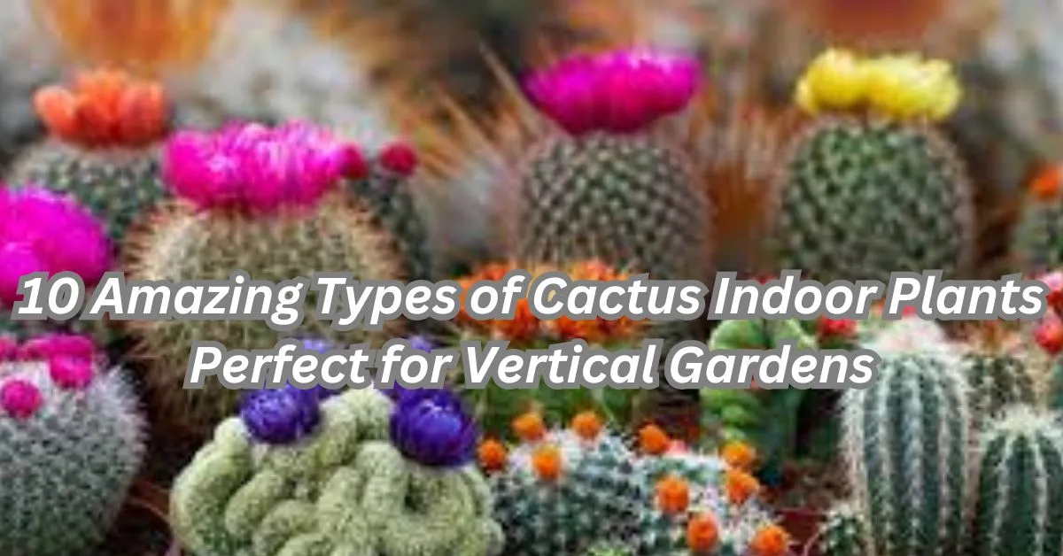 10 Amazing Types of Cactus Indoor Plants for Stunning Vertical Gardens