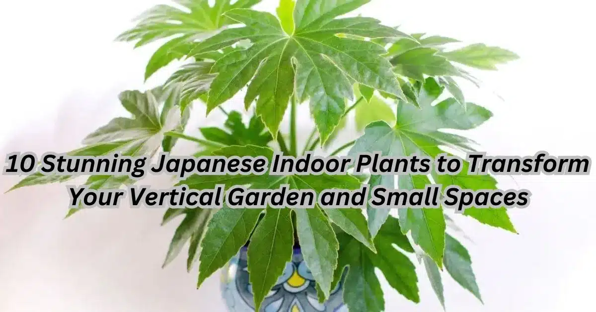 10 Stunning Japanese Indoor Plants to Transform Your Vertical Garden and Small Spaces