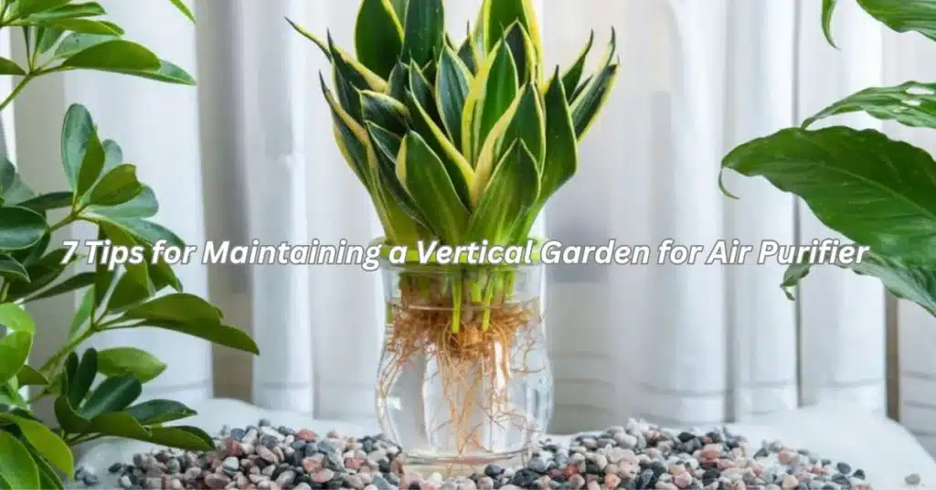 7 Tips for Maintaining a Vertical Garden for Air Purification